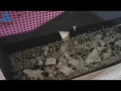 Máy tái chế EPS đang hoạt động