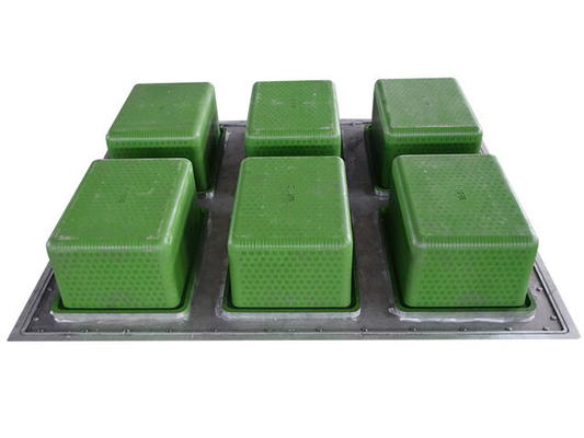 Sản xuất khuôn EPS tùy chỉnh và sửa đổi cho hộp cá hộp trái cây hộp thức ăn