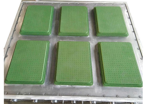 Khuôn EPS hộp cá ISO9001 cho bao bì rau quả tươi