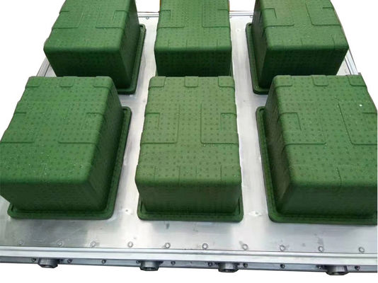 Khuôn EPS hộp cá ISO9001 cho bao bì rau quả tươi