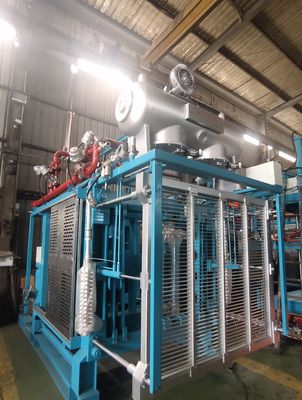Máy đúc hình Eps hộp bọt tự động đóng gói cho cá và trái cây
